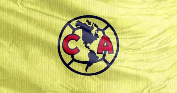 メキシコシティ メキシコ 2023年8月31日 クラブ アメリカの旗 あるいは単にプロサッカークラブのアメリカ ギラスと名付けられ メキシコでトップクラスのリーグMxで競い合う — ストック動画