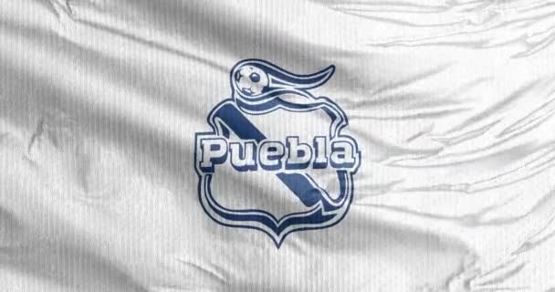 Puebla Mexiko Aug 2023 Viftande Flagga Club Puebla Mexikansk Professionell — Stockvideo