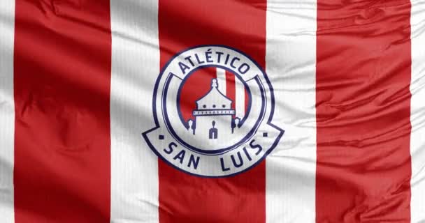 墨西哥圣路易斯波特斯2023年8月31日墨西哥职业足球俱乐部圣路易斯竞技 Atltico San Luis 的一面飘扬的旗帜 参加了Liga Mx的比赛 — 图库视频影像