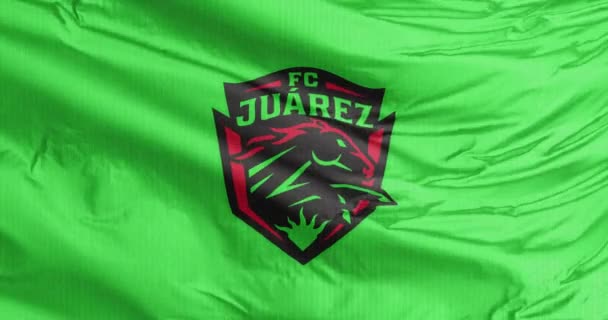 墨西哥Ciudad Jurez 2023年8月31日墨西哥职业足球俱乐部Jurez Ftbol Club Jurez的一面摇曳的旗帜 参加了Liga Mx的比赛 — 图库视频影像