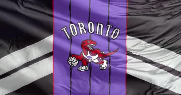 Toronto Ontario Kanada Aug 2023 Viftande Flagga Toronto Raptors Ett — Stockvideo