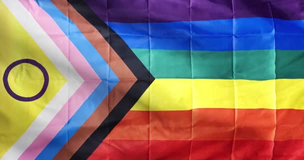 Una Animación Con Bandera Intersex Progress Pride Agitando Suavemente — Vídeo de stock