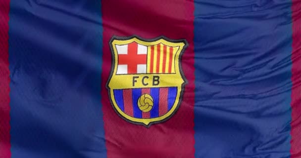 Barcelona Catalonia Spain Sep 2023 Waving Flag Barcelona Professional Football — Stock Video