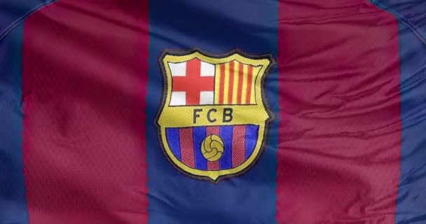 Barcelona Catalonia Spain Sep 2023 Waving Flag Barcelona Professional Football — Stock Video