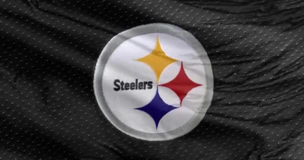 匹兹堡 宾夕法尼亚州 2023年9月21日美国职业足球队匹兹堡钢人队的一面飘扬的旗帜 — 图库视频影像