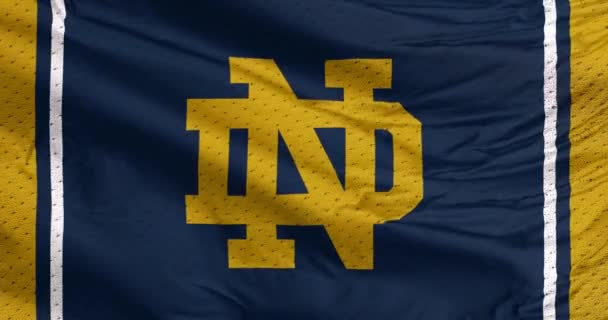 Indiana Egyesült Államok 2023 Szeptember Notre Dame Harcos Focicsapat Zászlója — Stock videók