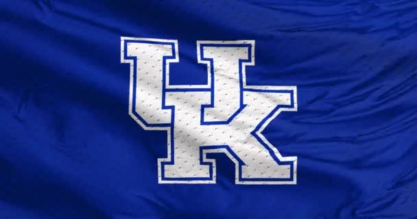 Lexington Kentucky Verenigde Staten September 2023 Een Zwaaiende Blauwe Vlag — Stockvideo