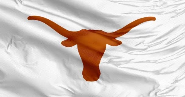 オースティン テキサス アメリカ 2023年9月26日 テキサス ロングホーンズ フットボールの白い旗 アメリカンフットボールのスポーツでテキサス大学を代表する学生チーム — ストック動画