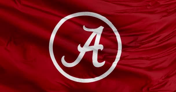 Tuscaloosa Alabama Sep 2023 Una Bandera Ondeante Del Alabama Crimson — Vídeo de stock
