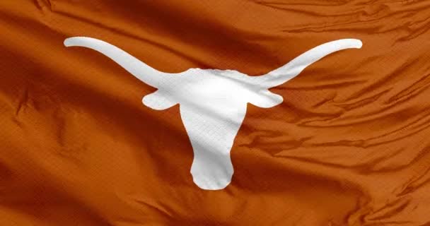 オースティン テキサス アメリカ 2023年9月26日 テキサス ロングホーンズ フットボールの燃えたオレンジ色の旗 アメリカンフットボールのスポーツでテキサス大学を代表する学生チーム — ストック動画