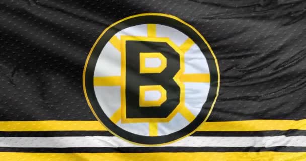 美国马萨诸塞州波士顿 2023年9月28日波士顿大学冰球队的一面摇旗呐喊的旗帜 这是一支参加Nhl比赛的职业冰球队 — 图库视频影像