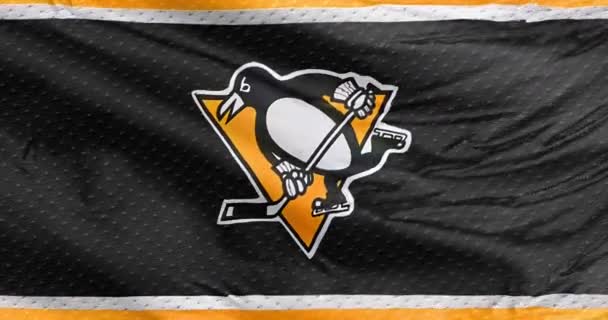 Pittsburgh Pensilvania Sep 2023 Una Bandera Ondeante Los Pittsburgh Penguins — Vídeo de stock