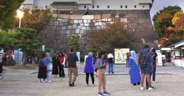 Осака Япония Ноября 2023 Года Панорамный Вид Главный Вход Замок — стоковое видео