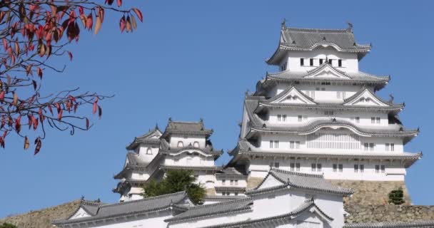Close Himeji Castle Hilltop Japanese Castle World Heritage Site Hygo — Stock video