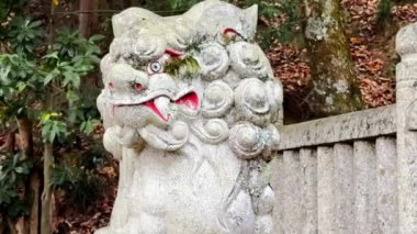 Nagahama, Shiga Bölgesi, Japonya. 26 Kasım 2023. Bir Komanu ya da aslan-köpek, aslan-benzeri bir yaratık heykeli, geleneksel olarak tapınağın girişini ya da kapısını koruyan, ya da bir Shinto türbesinin yanına yerleştirilen.