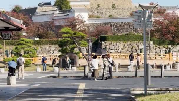Хімедзі Префектура Гіго Японії Грудня 2023 Панорамний Вид Замок Хімедзі — стокове відео