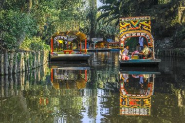 Mexico City, Meksika. 11 Ocak 2024. Bir çift Trajinera, gondol tarzı botlar, ya da Xochimilco kanalları boyunca süzülen renkli sallar, turistlerin tadını çıkardığı bir yolculuk..