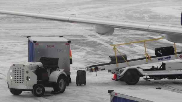 加拿大艾伯塔省卡尔加里 2024年4月17日卡尔加里国际机场的一架飞机上 一名韦斯特喷气式飞机的雇员在恶劣的冬季天气条件下 将行李装入一个单元装载装置 — 图库视频影像