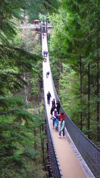 Vancouver Colombie Britannique Canada Avril 2024 Une Vue Verticale Pont — Video