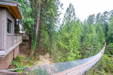 Vancouver, British Columbia, Kanada. 24 Mar, 2024. Capilano 'daki Capilano Nehri' ni geçen Askı Köprüsü 'nün yatay görüntüsü.