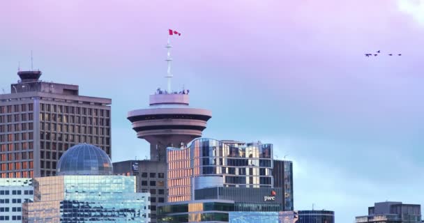 温哥华 不列颠哥伦比亚 加拿大 2024年4月9日在温哥华市中心商业区的海港中心大楼观望和摩天大楼 夕阳西下 加拿大鹅从空中飞过 — 图库视频影像