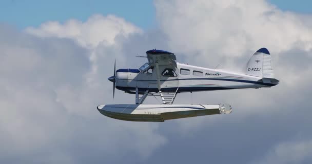 Vancouver British Columbia Canada Apr 2024 Seair Seaplane Flight Vancouver Video Clip