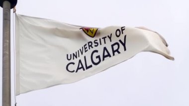 Calgary, Alberta, Kanada. 31 Temmuz 2024. Calgary Üniversitesi 'nin Sallanan Bayrağı.