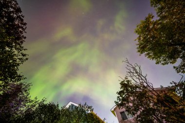 Aurora Borealis 'in büyüleyici bir görüntüsü yerleşim yerinin üstündeki gökyüzünü aydınlatıyor. Calgary, Alberta, Kanada' daki ağaçların ve evlerin üzerine ruhani bir ışık saçıyor..