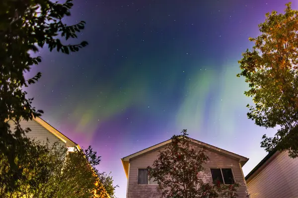 Aurora Borealis manzarası banliyö evlerinin üstündeki gece gökyüzünü aydınlatır, aşağıdaki ağaçlar ve çatılar üzerinde ruhani bir parıltı bırakır..