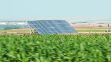 Birkaç güneş panelinin tarımsal bir alana kurulması ve yemyeşil ekinlerle çevrili yenilenebilir enerjinin yakalanması..