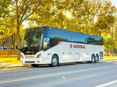 Calgary, Alberta, Kanada. 8 Ekim 2024. Beyaz bir ulusal tur otobüsü, bir Prevost H3-45, sonbahar ağaçlarının altında park edilmiştir. Güneş ışıl ışıl parlıyor, aracın üzerine sıcak bir parıltı saçıyor..