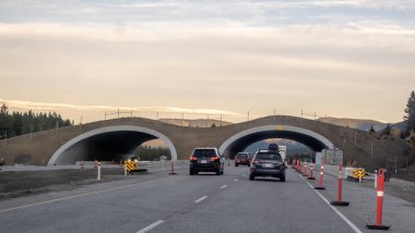 Calgary, Alberta, Kanada. 28 Ekim 2024. Vahşi yaşam üst geçidinin manzarası. Orman manzarası üzerinden bir otoyola köprü kuruyor..
