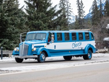 Banff, Alberta, Kanada. 10 Aralık 2024. Açık bluzlu, açık mavi ve beyaz renkli bir otobüs karlı bir caddede manzaralı bir tura hazır..