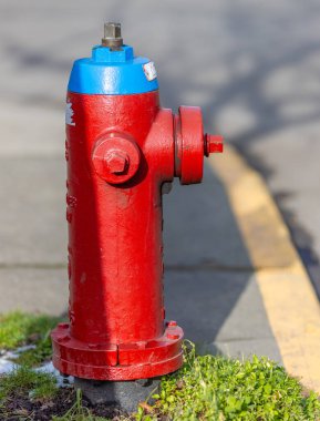 Victoria, British Columbia, Kanada. 10 Şubat 2025. Çimenli ve sarı çizgili kaldırımda kırmızı ve mavi yangın musluğu, şehir altyapısını ve kamu güvenliğini gözler önüne seriyor..