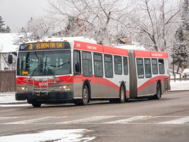 Calgary, Alberta, Kanada. Mar 13, 2025. Bir Calgary Transit otobüsü, 3. güzergâh. Dirsek Dr SW, karlı bir günde, kışın arka planda kırmızı ve gri üniformasını sergilerken görüntülenir..