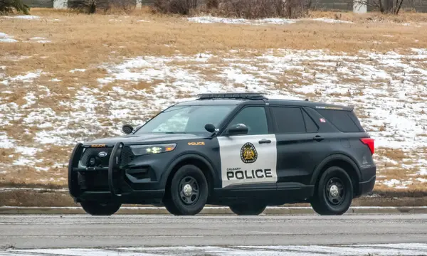 Calgary, Alberta, Kanada. Mar 13, 2025. Şehir arması ile işaretlenmiş bir Calgary polis cipi, karlı bir yolda kışın arka planında, kuru otlara doğru sürüyor..