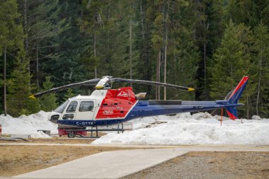 Radyum, British Columbia, Kanada. 31 Aralık 2025. C-GTTE işaretli mavi ve kırmızı bir helikopter, uzun yeşillikler çerçeveli, kar yamalı bir pistte duruyor..