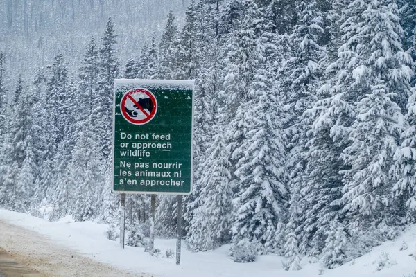 Banff, Alberta, Kanada. 31 Aralık 2025. Karlı bir orman manzarasının ortasında duran ve kışın doğanın korunması ve saygı görmesi gerektiğini vurgulayan iki dilde bir 