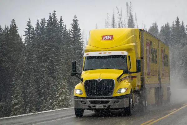 Radyum, British Columbia, Kanada. 31 Aralık 2025. Ev Hırdavat 'tan sarı bir tır kış koşullarında karlı bir ormanda ıslak bir yola çıkıyor..