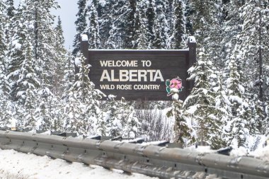 Banff, Alberta, Kanada. 31 Aralık 2025. Bir gül süslenmiş Alberta tabelasına hoş geldiniz. Karlı bir orman manzarasında duruyor..