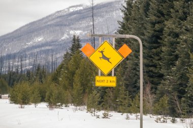 Banff, Alberta, Kanada. 4 Nisan 2025. Sarı elmas şeklindeki bir geyik işaret levhası. Üzerinde sıçrayan bir geyiğin silüeti var. Üzerinde de dikdörtgen şeklinde bir tabela var..