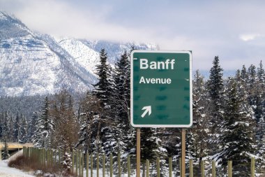 Banff, Alberta, Kanada. 4 Nisan 2025. 