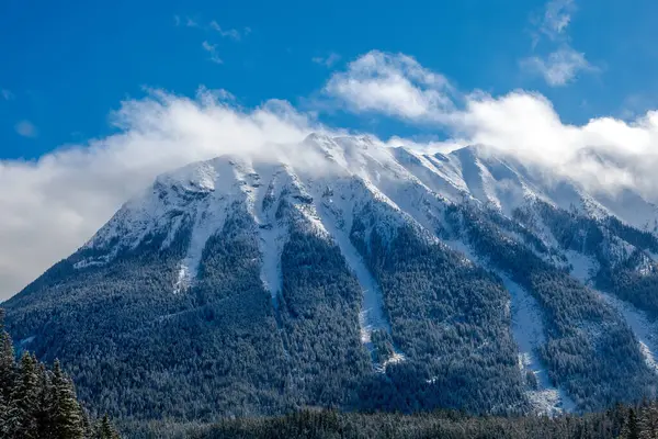 Görkemli, karla kaplanmış Cheam Dağı canlı, mavi gökyüzüne karşı yükseliyor, tüylü beyaz bulutlarla kaplı, Calgary bölgesinde güzel bir kış manzarası sergiliyor.