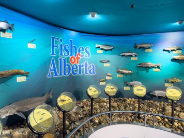 Calgary, Alberta, Kanada. 16 Nisan 2025. Bow Habitat İstasyonu ve Sam Livingston Balık Yetiştirme Müzesi 