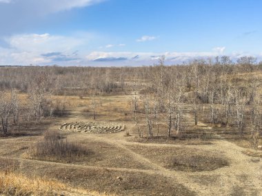 Parçalı bulutlu bir gökyüzü altında sakin bir manzara, Kanada, Alberta, Calgary 'deki Nose Hill' de çıplak ağaçların ve kuru otların arasına yerleştirilmiş dairesel taş bir labirent ortaya çıkarır..