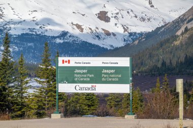 Jasper, Alberta, Kanada. 4 Mayıs 2025. Kanada 'nın iki dilli parkı tabelası Kanada' nın Jasper Ulusal Parkı 'na ziyaretçileri karşılıyor. Arka planda karlı dağlar görülebilir..