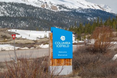 Jasper, Alberta, Kanada. 4 Mayıs 2025. Columbia Icefield 'a gelen ziyaretçileri karşılayan parlak mavi bir tabela, 