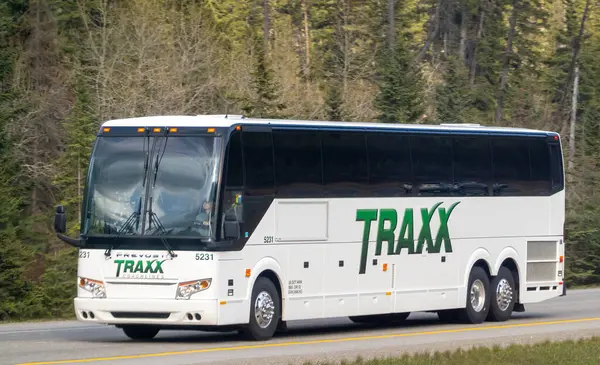 Canmore, Alberta, Kanada. 5 Mayıs 2025. Beyaz bir Traxx Coachlines otobüsü, Prevost H3-45, bir otoyolda seyahat ediyor. Evergreen ağaçlar yol kenarında.