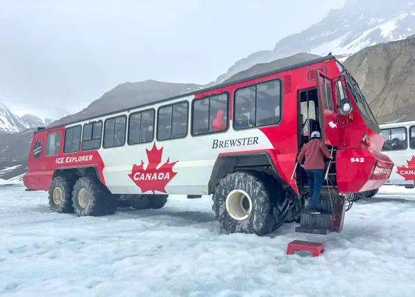 Jasper, Alberta, Kanada. 4 Mayıs 2025. Kolombiya Buz Sahası 'nda geniş lastikli kırmızı beyaz bir Brewster Ice Explorer otobüsü. Otobüste bir Kanada bayrağı ve 