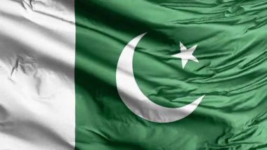 Pakistan İslam Cumhuriyeti (Yıldız ve Hilal Bayrağı) Ulusal Bayrak Kullanımı Siyah ve beyaz küçük vezsilolojik sembol veya pictogram.